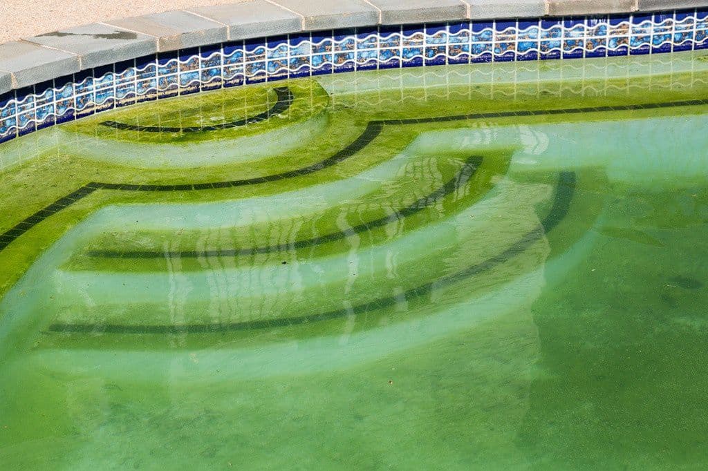 Green Pool Clean Up